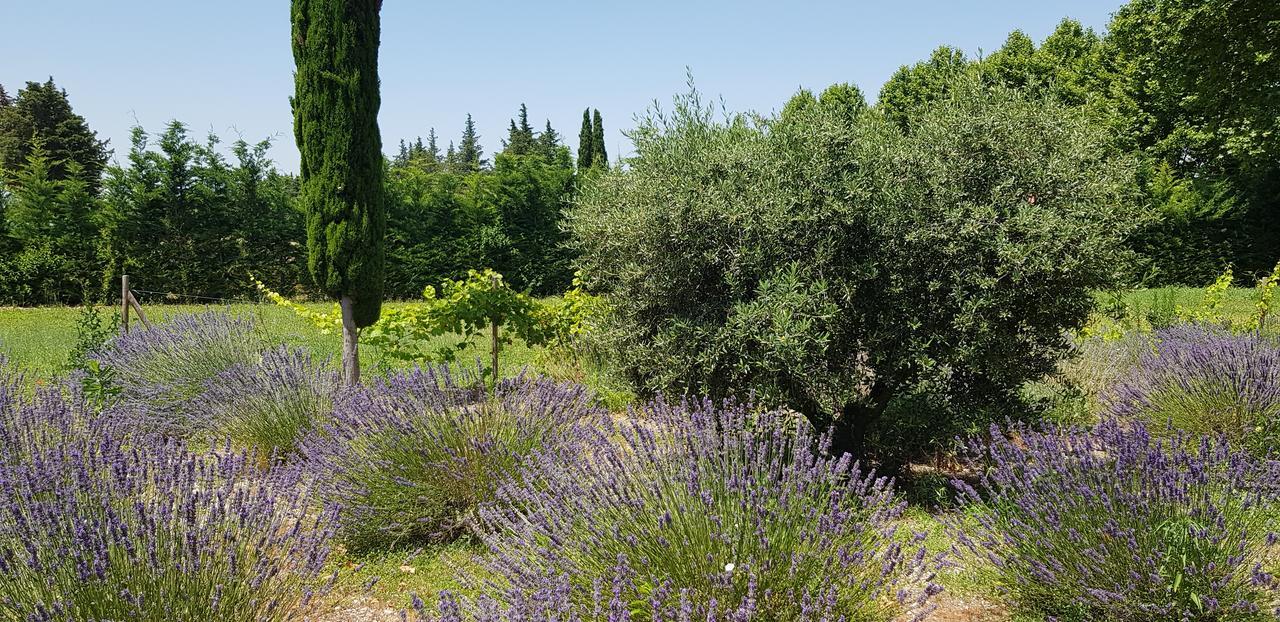 La Pastorale Bed & Breakfast Lagnes Exterior photo
